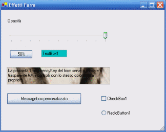 La Form ha ereditato lo stile di Windows XP