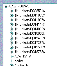 Esempio in esecuzione sulla ricorsione di Directory